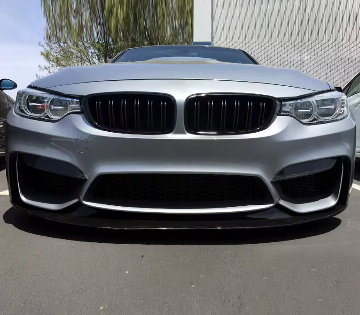 BMW M3/M4 (F80 F82 F83) CARBON FRONT FLAPS